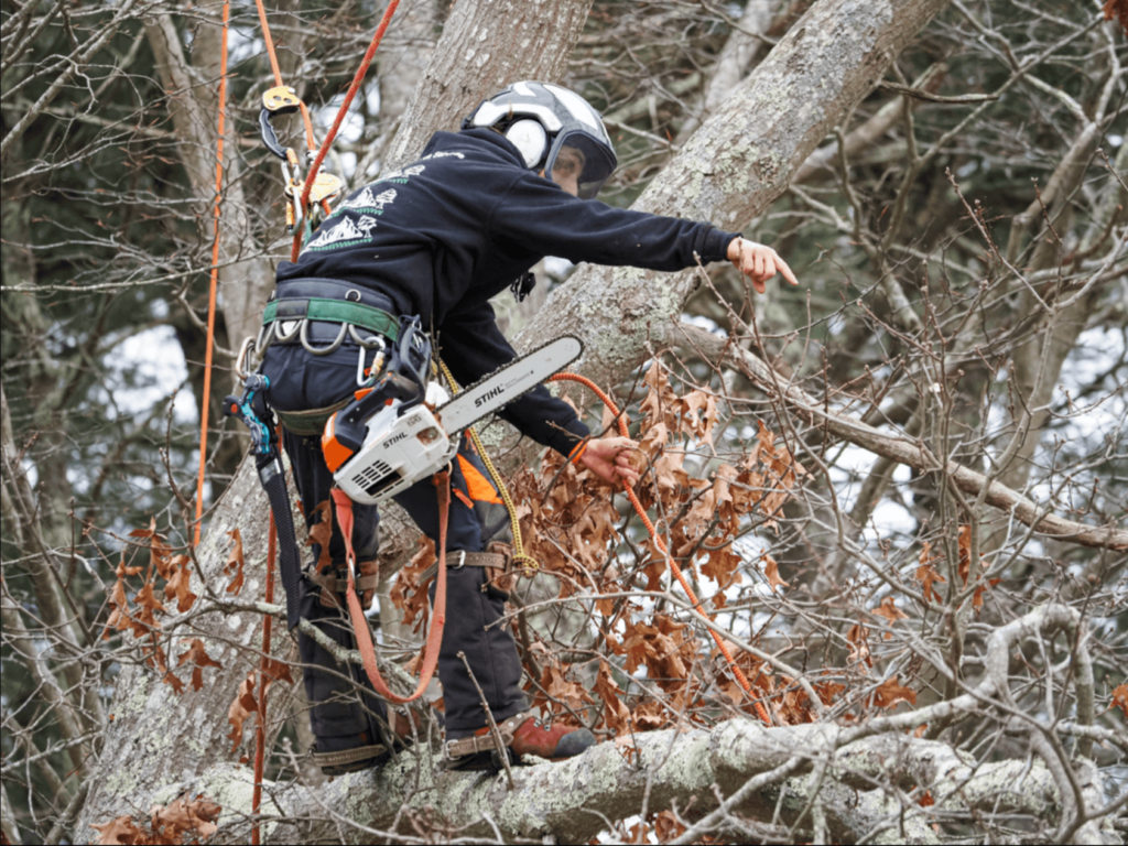 Lamontagne Landscaping & Tree Services Projects